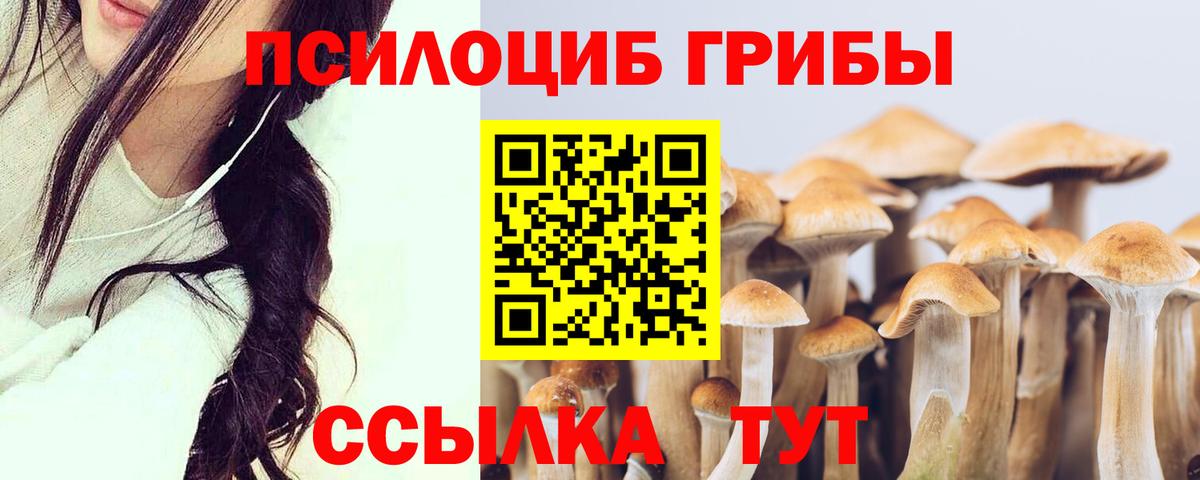 Псилоцибиновые грибы мухоморы  Галлюциногенные грибы Magic Shrooms  Кохма  Вход с VPN 